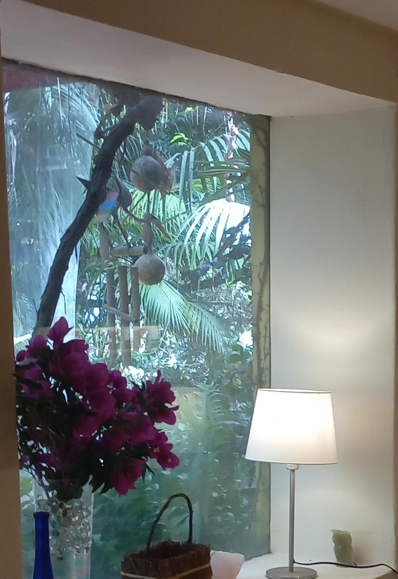 Vivelorural Casita Vintage, Santa Brigida Villa Eksteriør billede